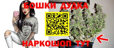 индика Донской