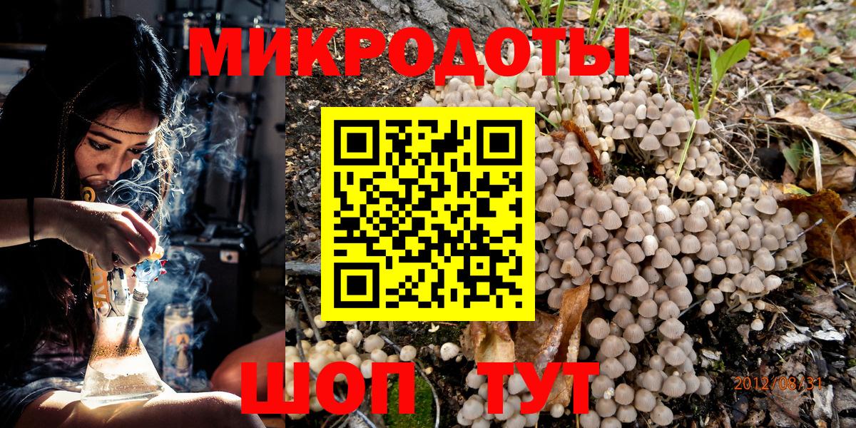 Галлюциногенные грибы Psilocybine cubensis Киржач