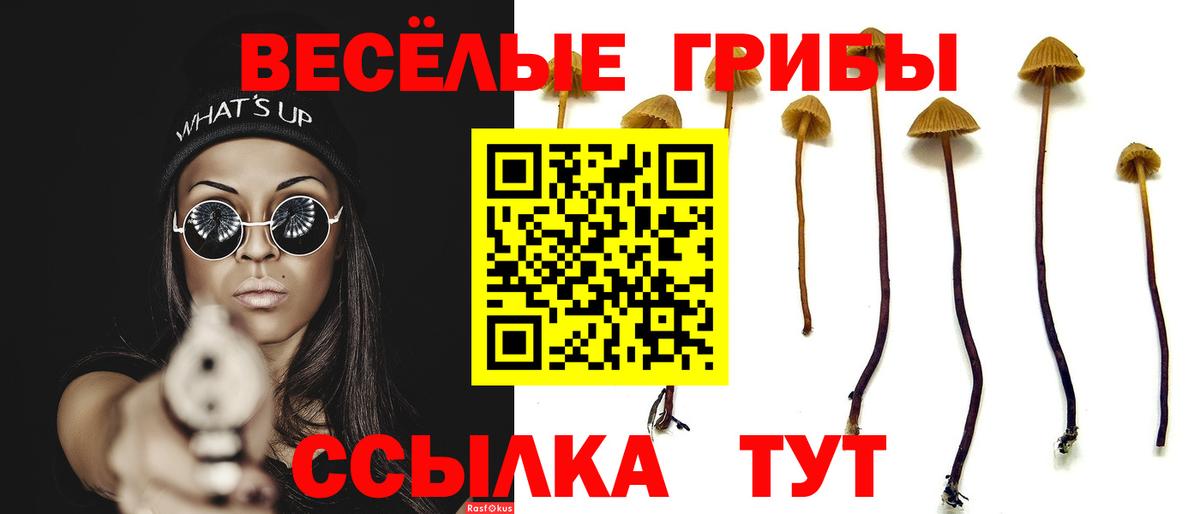 Галлюциногенные грибы ЛСД  Псилоцибиновые грибы Magic Shrooms  Киржач  Вход с VPN 